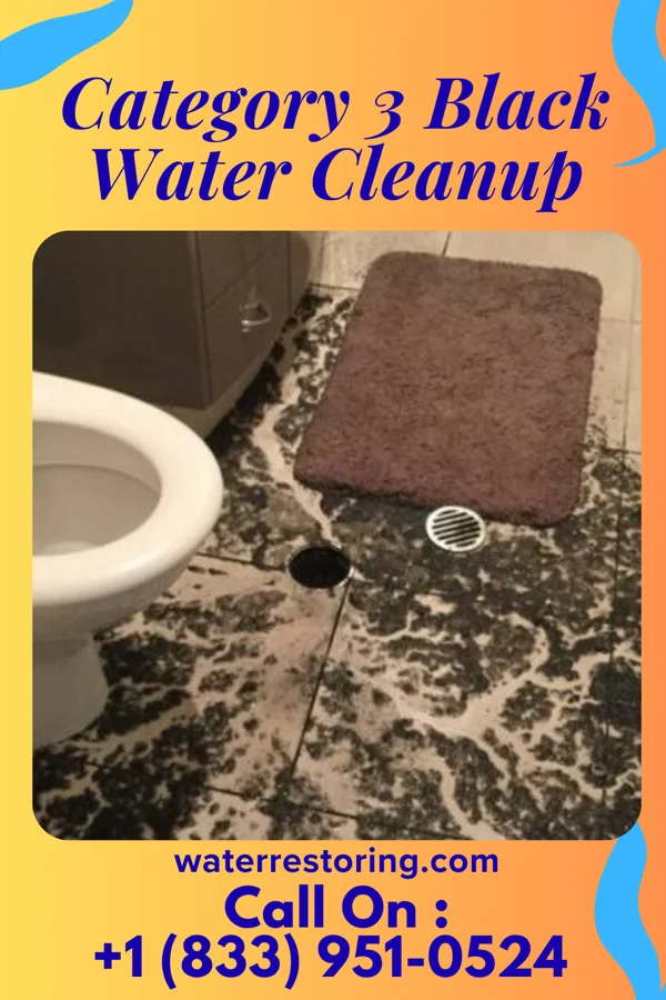 Category 3 Black Water Cleanup in Nelson, AZ